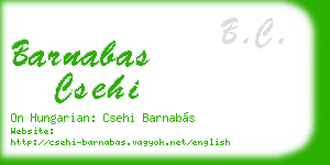 barnabas csehi business card